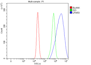 LPAR3 Rabbit Polyclonal Antibody