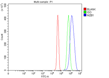 MZB1 Rabbit Polyclonal Antibody