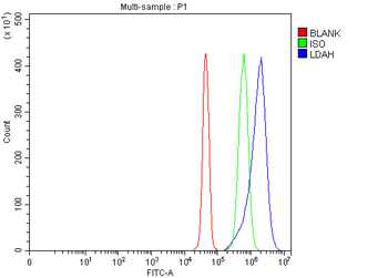 LDAH Rabbit Polyclonal Antibody