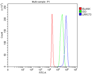 LRRC73 Rabbit Polyclonal Antibody