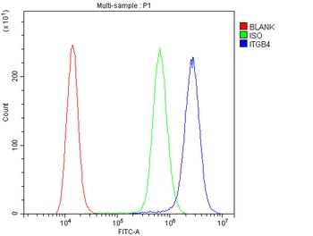 Integrin beta 4/ITGB4 Rabbit Polyclonal Antibody
