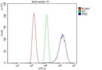 P53/TP53 Rabbit Polyclonal Antibody