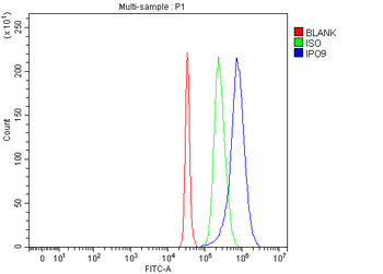 IPO9 Antibody