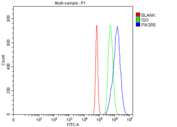 PIK3R5 Rabbit Polyclonal Antibody