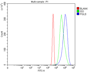 PGLS Rabbit Polyclonal Antibody