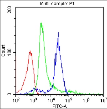 Anti-CD3 CD3E Antibody (Monoclonal, CA-3)