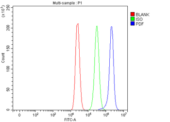 PDF Antibody