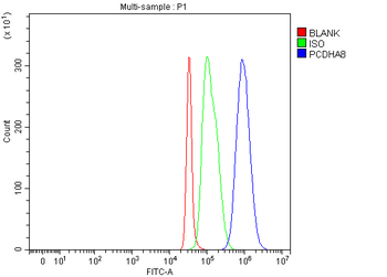 PCDHA8 Rabbit Polyclonal Antibody