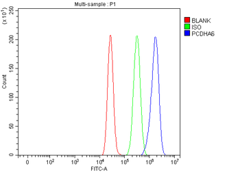 PCDHA6 Rabbit Polyclonal Antibody