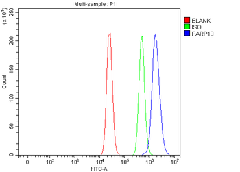 PARP10 Rabbit Polyclonal Antibody