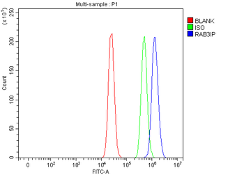 RAB3IP Rabbit Polyclonal Antibody