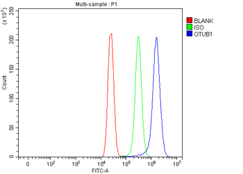 OTUB1 Rabbit Polyclonal Antibody