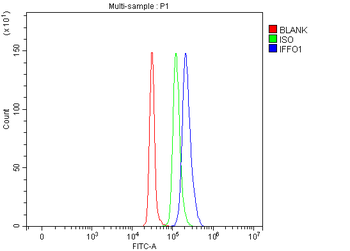 IFFO1 Rabbit Polyclonal Antibody