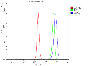 LYPD3 Antibody