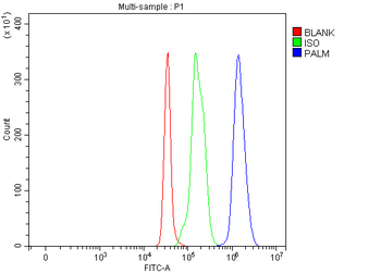 PALM Rabbit Polyclonal Antibody