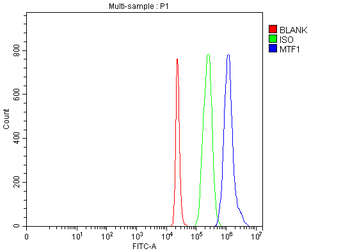 MTF1 Rabbit Polyclonal Antibody