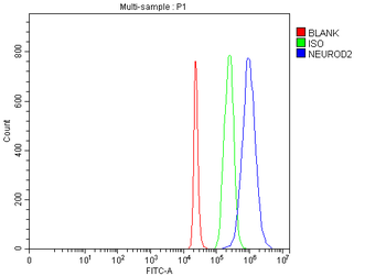 NEUROD2 Rabbit Polyclonal Antibody