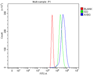 Alpha 1B-Glycoprotein/A1BG/1B Rabbit Polyclonal Antibody