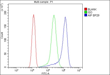 ARA9/AIP Rabbit Polyclonal Antibody