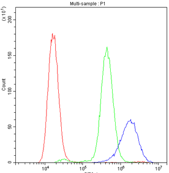 Cyclophilin A/PPIA Antibody