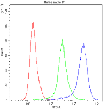 Cyclophilin A/PPIA Antibody