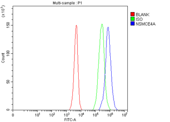 NSMCE4A Rabbit Polyclonal Antibody