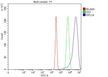 RPL14 Antibody