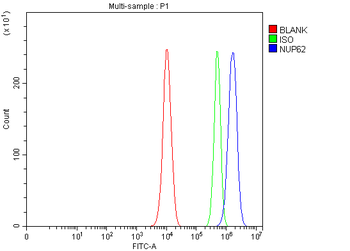 NUP62 Rabbit Polyclonal Antibody