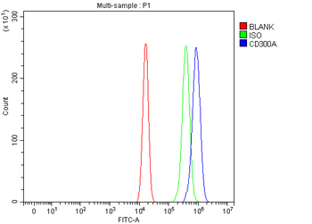 CD300A Rabbit Polyclonal Antibody