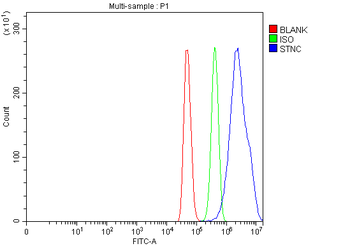 Syncoilin/Sync Rabbit Polyclonal Antibody