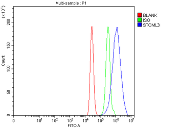 STOML3 Rabbit Polyclonal Antibody