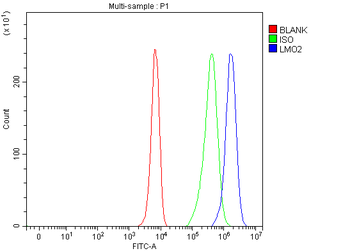 LMO2 Rabbit Polyclonal Antibody