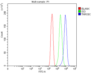 TNRC6C Rabbit Polyclonal Antibody