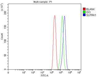 SLITRK1 Rabbit Polyclonal Antibody