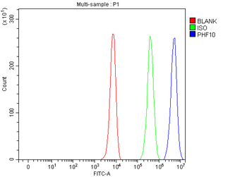 PHF10 Rabbit Polyclonal Antibody