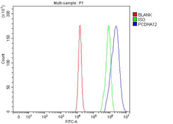 PCDHA12 Rabbit Polyclonal Antibody