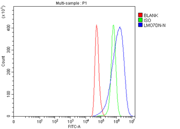 LMO7DN Rabbit Polyclonal Antibody