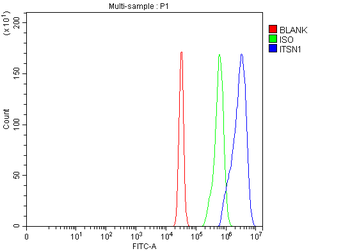 Intersectin 1/ITSN1 Rabbit Polyclonal Antibody