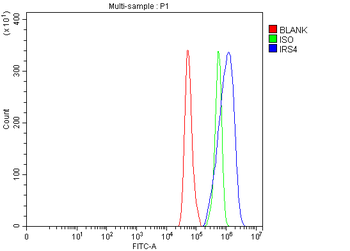 IRS4 Antibody