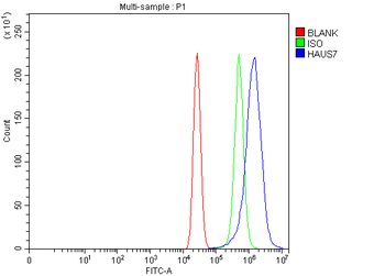 UCHL5IP/HAUS7 Rabbit Polyclonal Antibody