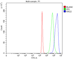 HAO2 Rabbit Polyclonal Antibody