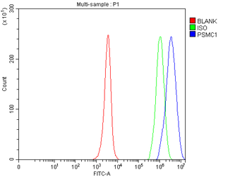 PSMC1 Rabbit Polyclonal Antibody