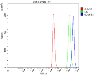 NDUFB4 Rabbit Polyclonal Antibody