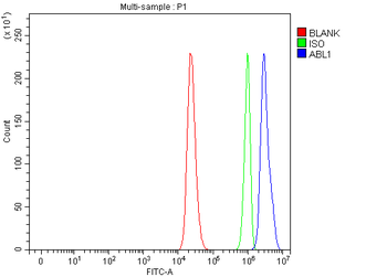 ABL1 Rabbit Polyclonal Antibody