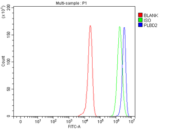 PLBD2 Antibody