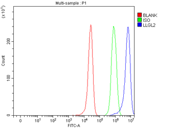 LLGL2 Rabbit Polyclonal Antibody