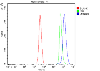 LMNTD1 Rabbit Polyclonal Antibody