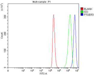 PTGER3 Rabbit Polyclonal Antibody