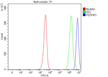 PSTPIP1 Rabbit Polyclonal Antibody