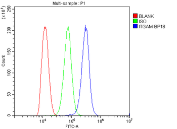CD11b/ITGAM Antibody